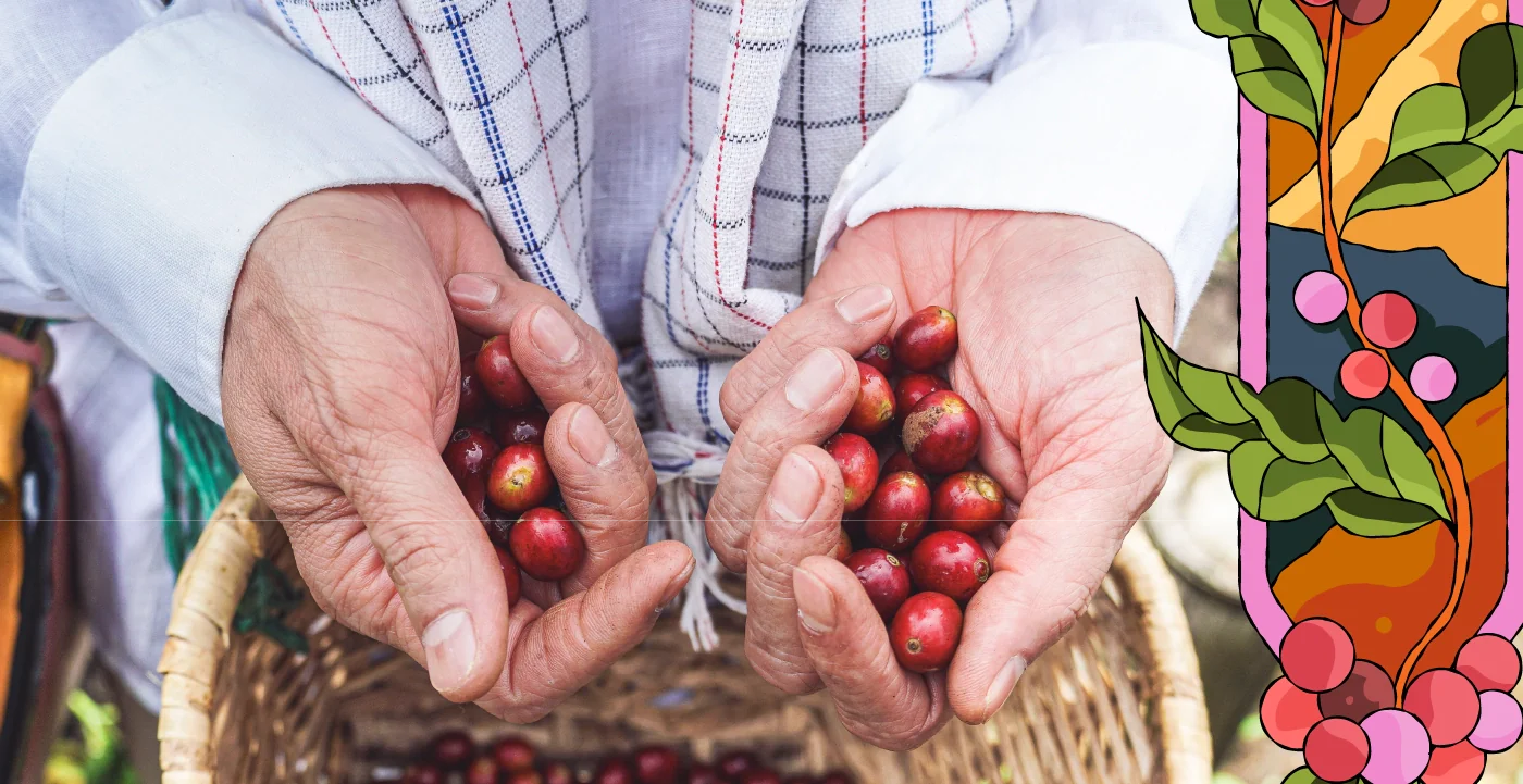 Beneficios del café